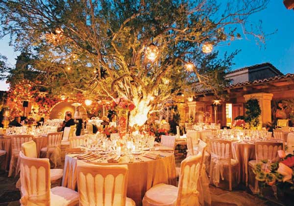 How to Plan inexpensive wedding  venues  Houston  Beautiful 